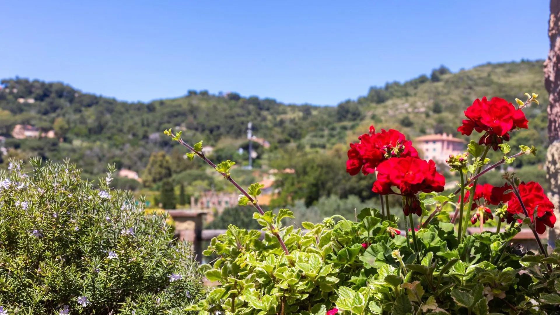 Апартаменты Suite Eleven Isola D'Elba Bagnaia